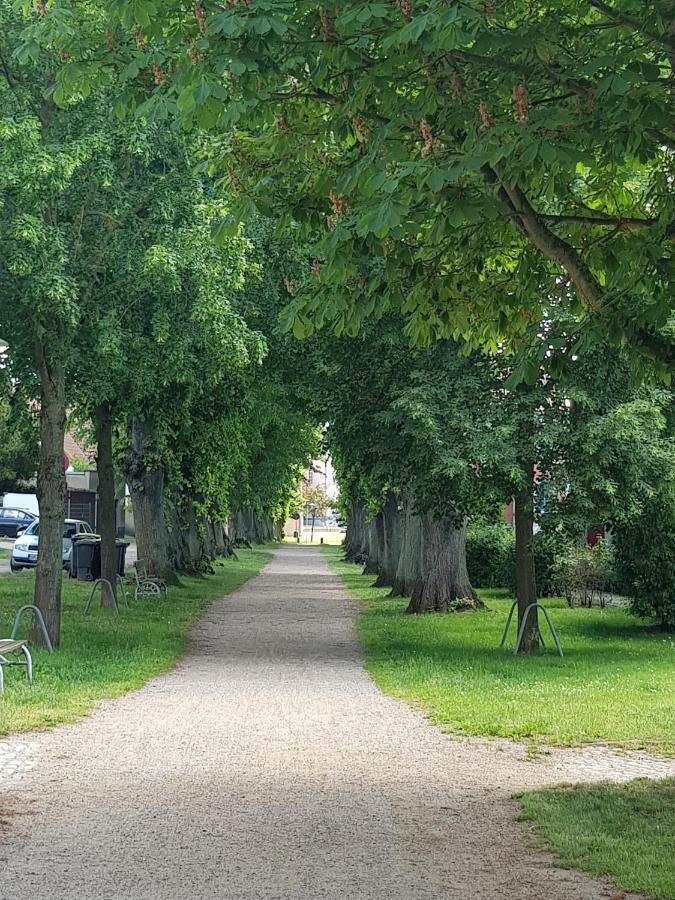 Ferienwohnung In Ostseenaehe Grevesmuehlen Exteriér fotografie